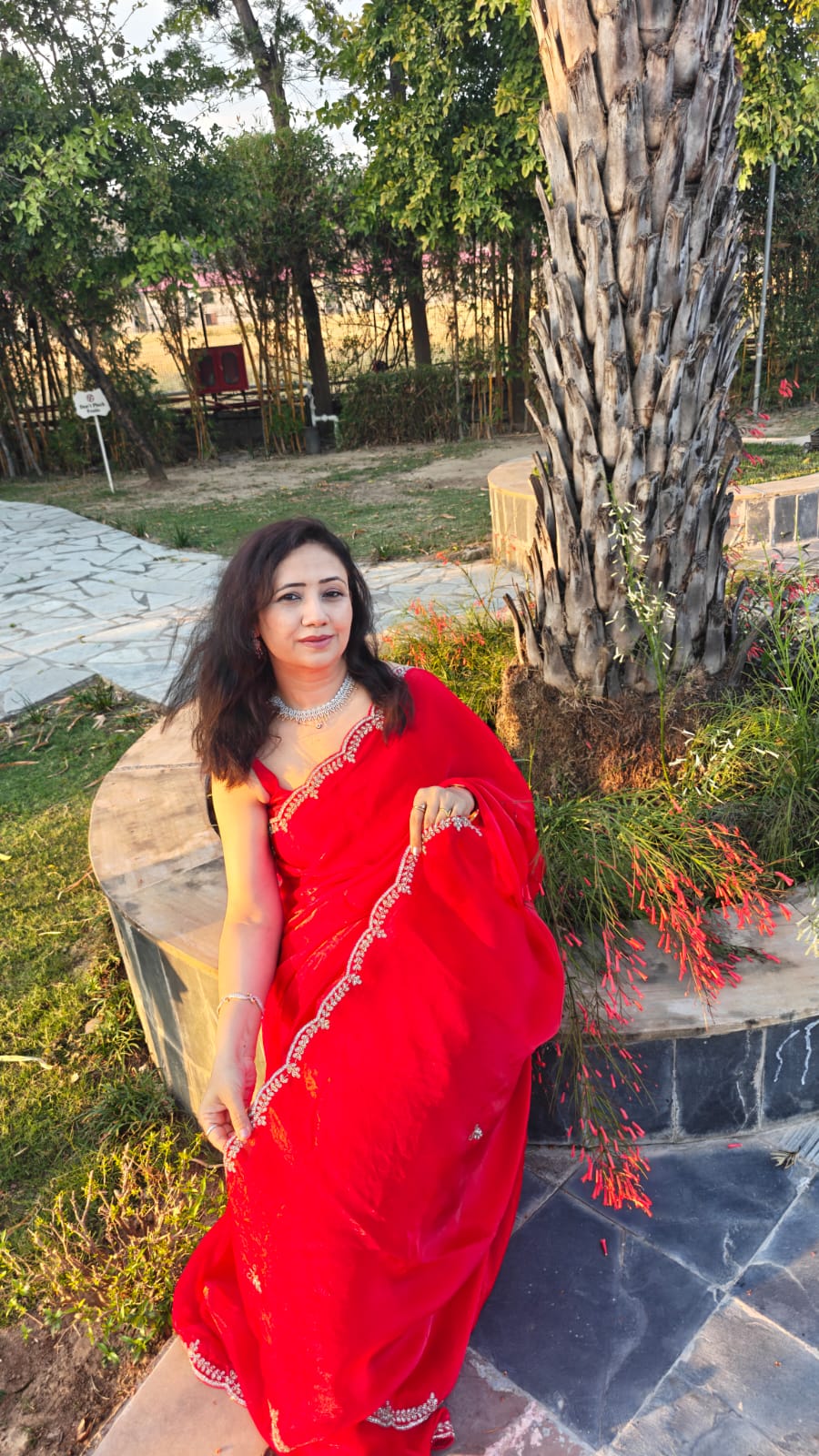 Red organza shimmer saree with cutdana border