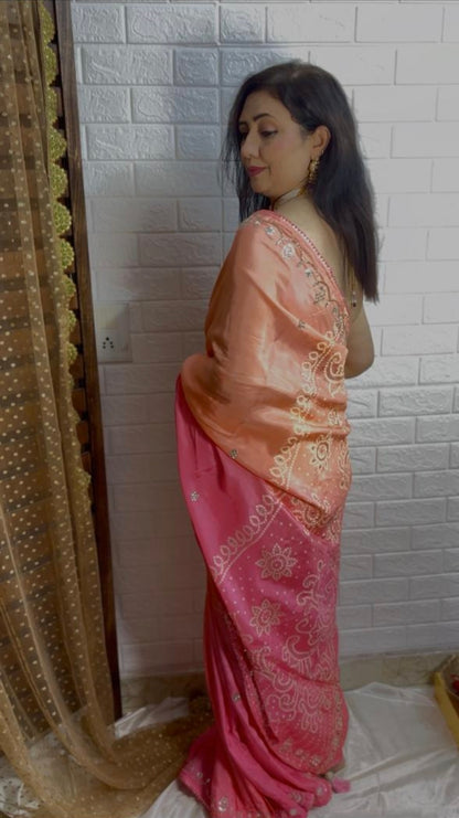 Jaipuri Silk Saree with hand embroidery rear view